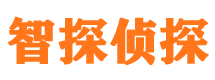 洛川侦探调查公司